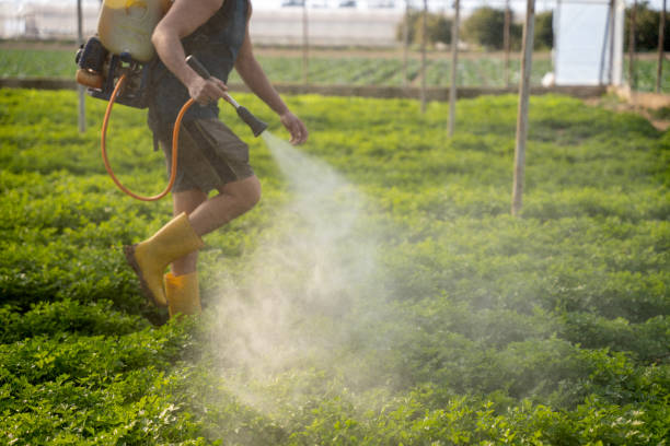Pest Control for Restaurants in Russell, PA
