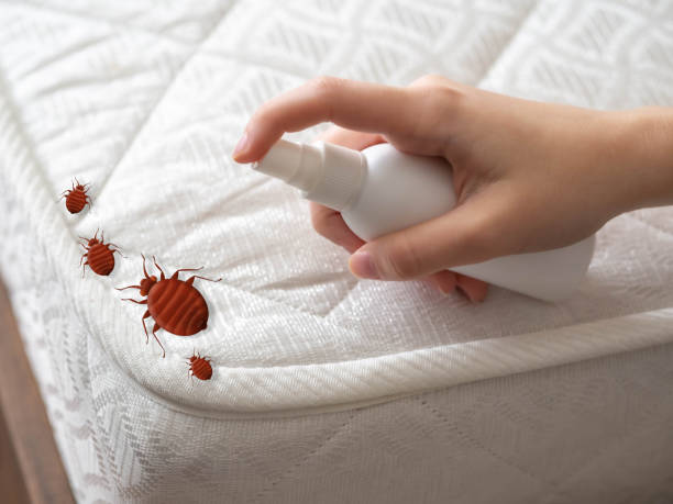 Best Pest Control Near Me in Russell, PA
